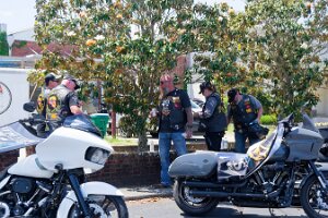 _DSC1950_3072-72d9